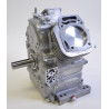 Shortblock BRIGGS ET STRATTON 496238