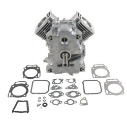 Short BRIGGS ET STRATTON 494057