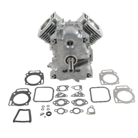 Short BRIGGS ET STRATTON 494057