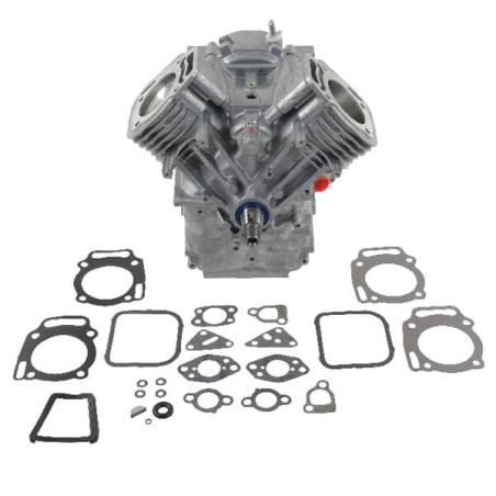 Short BRIGGS ET STRATTON 494057