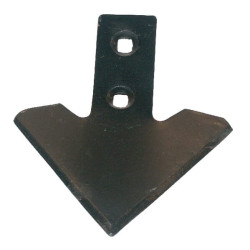 Soc UNIVERSEL CP000016
