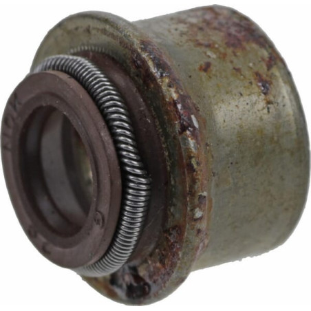 Soupape BRIGGS ET STRATTON 710863