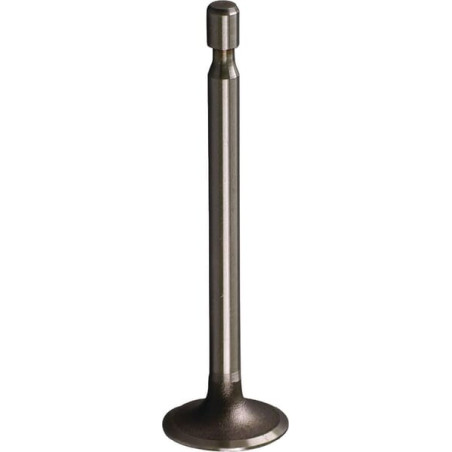 Soupape d'admission BRIGGS ET STRATTON 261055S