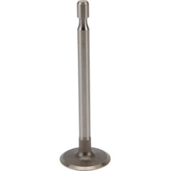Soupape d'admission BRIGGS ET STRATTON 691804