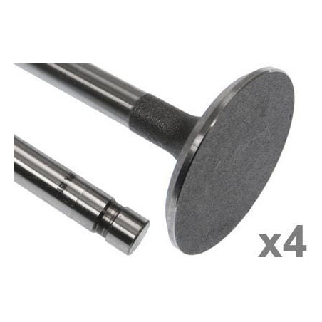 Soupape d'admission VAPORMATIC VPA1511