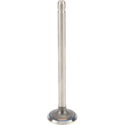 Soupape d'échappement BRIGGS ET STRATTON 691796