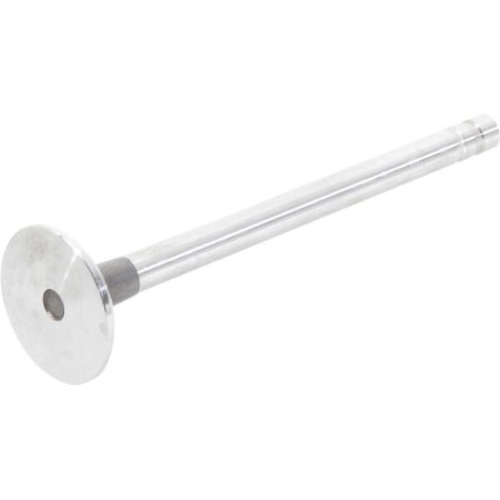 Soupape d'échappement UNIVERSEL 81818709N