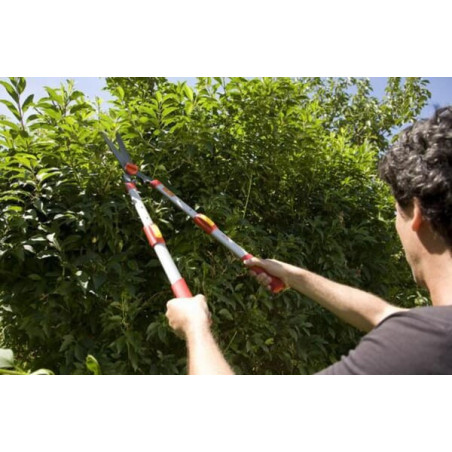 Taille-haie OUTILS-WOLF OH75T
