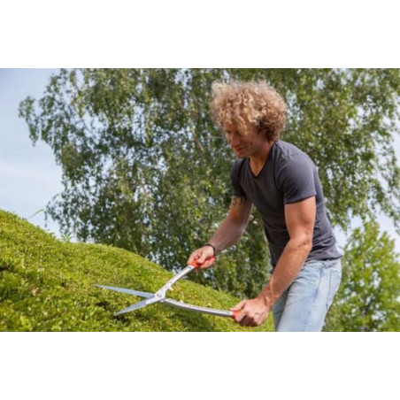 Taille-haie OUTILS-WOLF OHL