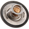 Thermostat CLAAS 0011381470