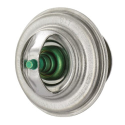 Thermostat FENDT F119200050040