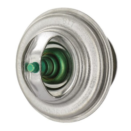 Thermostat FENDT F119200050040