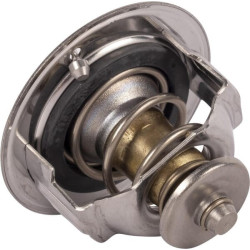 Thermostat KUBOTA 1C01173013