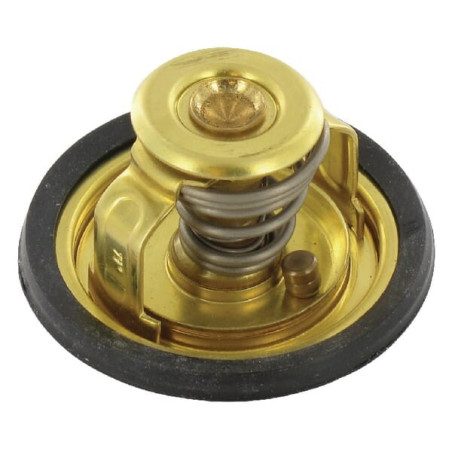 Thermostat LOMBARDINI 9195001
