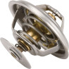 Thermostat MASSEY FERGUSON 4224624M1