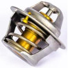Thermostat PERKINS 145206182