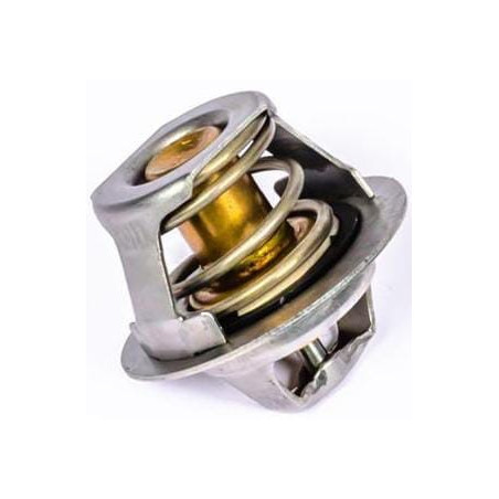 Thermostat PERKINS 145206182