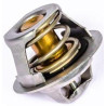 Thermostat PERKINS 145206182