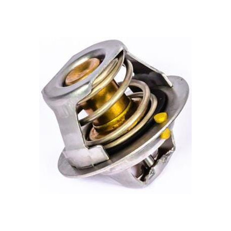 Thermostat PERKINS 145206182