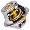Thermostat PERKINS 145206182