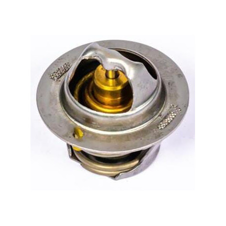 Thermostat PERKINS 145206182