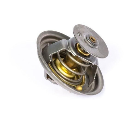 Thermostat PERKINS 2485C036