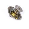 Thermostat PERKINS 2485C036