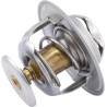 Thermostat CASE IH 3059676R92