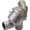 Thermostat CASE-STEYR 131100060065