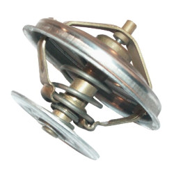 Thermostat ZETOR 89005904