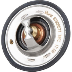 Thermostat GOPART 98463637GP