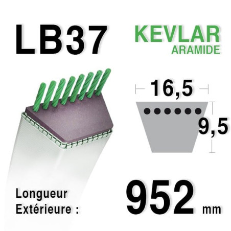 Courroie 16.5mm x 952mm - LB37