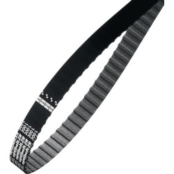 Courroie OPTIBELT 176XL025