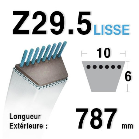 Courroie 10mm x 787mm - Z29.5
