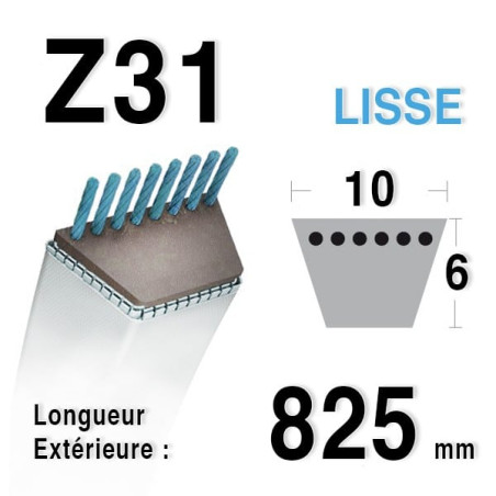 Courroie 10mm x 825mm - Z31