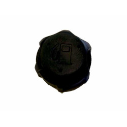 Bouchon de réservoir à essence Briggs & Stratton 497929