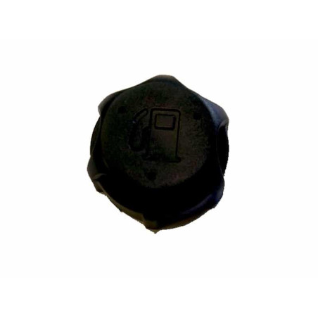 Bouchon de réservoir à essence Briggs & Stratton 497929