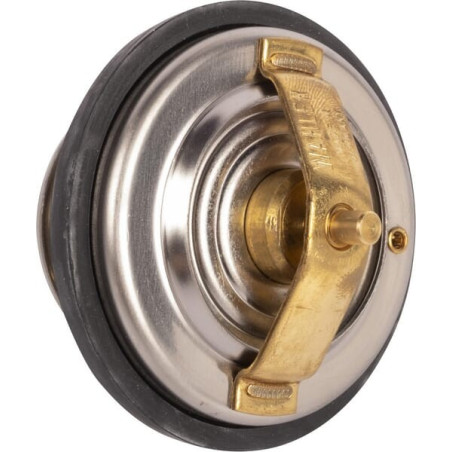 Valve GOLDONI V0069151