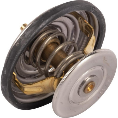 Valve GOLDONI V0069151