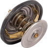 Valve GOLDONI V0069151