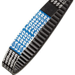 Courroie OPTIBELT VX30800