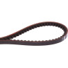 Courroie OPTIBELT XPA1132XEP