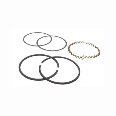 Segment Briggs & Stratton 391669 / 393881