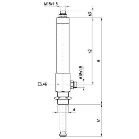 Vérin hydraulique MZ 8003055DW
