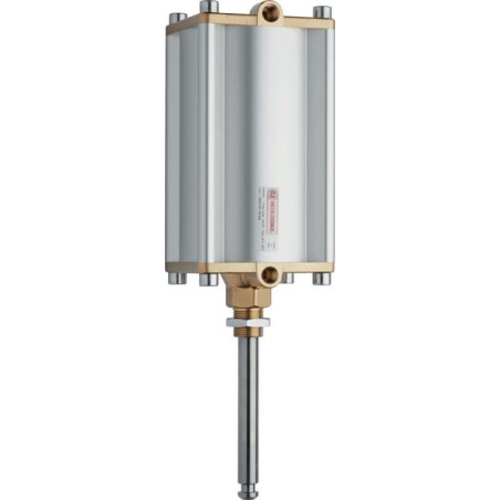 Vérin MZ 10003057