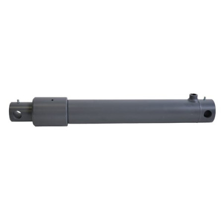 Vérin UNIVERSEL EPL60550ST