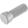 Vis MASCHIO F01110052R