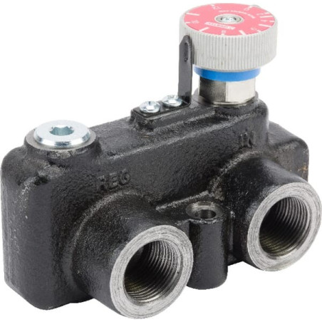Régulateur de débit 3 voies WEBTEC VFD120RD160J