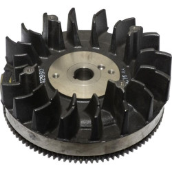 Volant BRIGGS ET STRATTON 842514