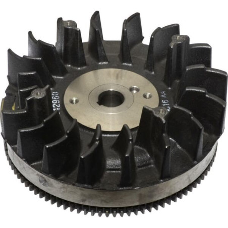 Volant BRIGGS ET STRATTON 842514